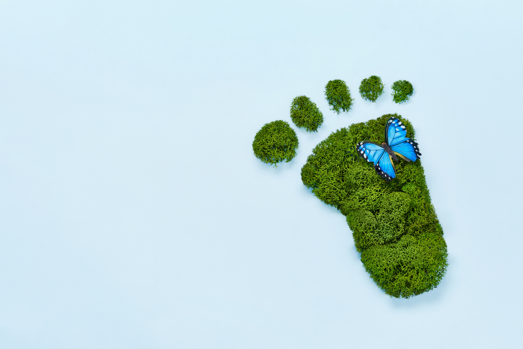 Sustainability and Social Responsibility in Marketing